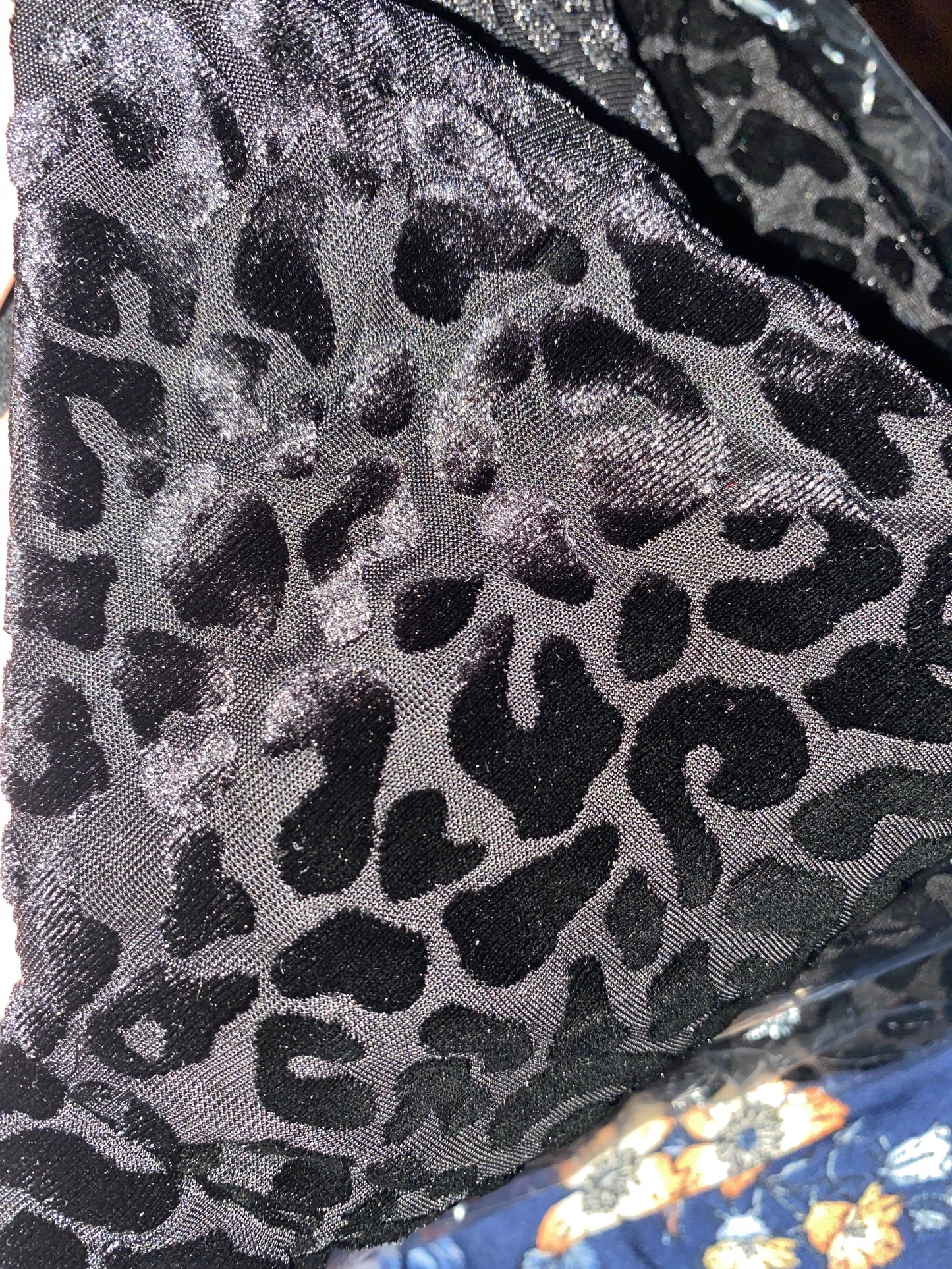 Leopard Velvet Crop Top INS