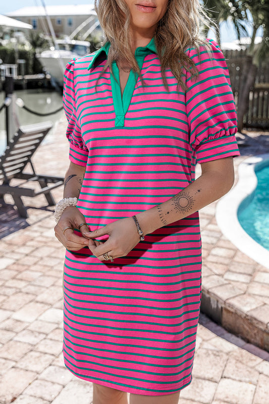 Pink Stripe Collared Dress LT