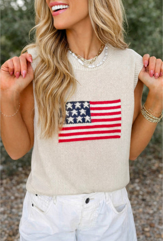American Flag Sweater INS