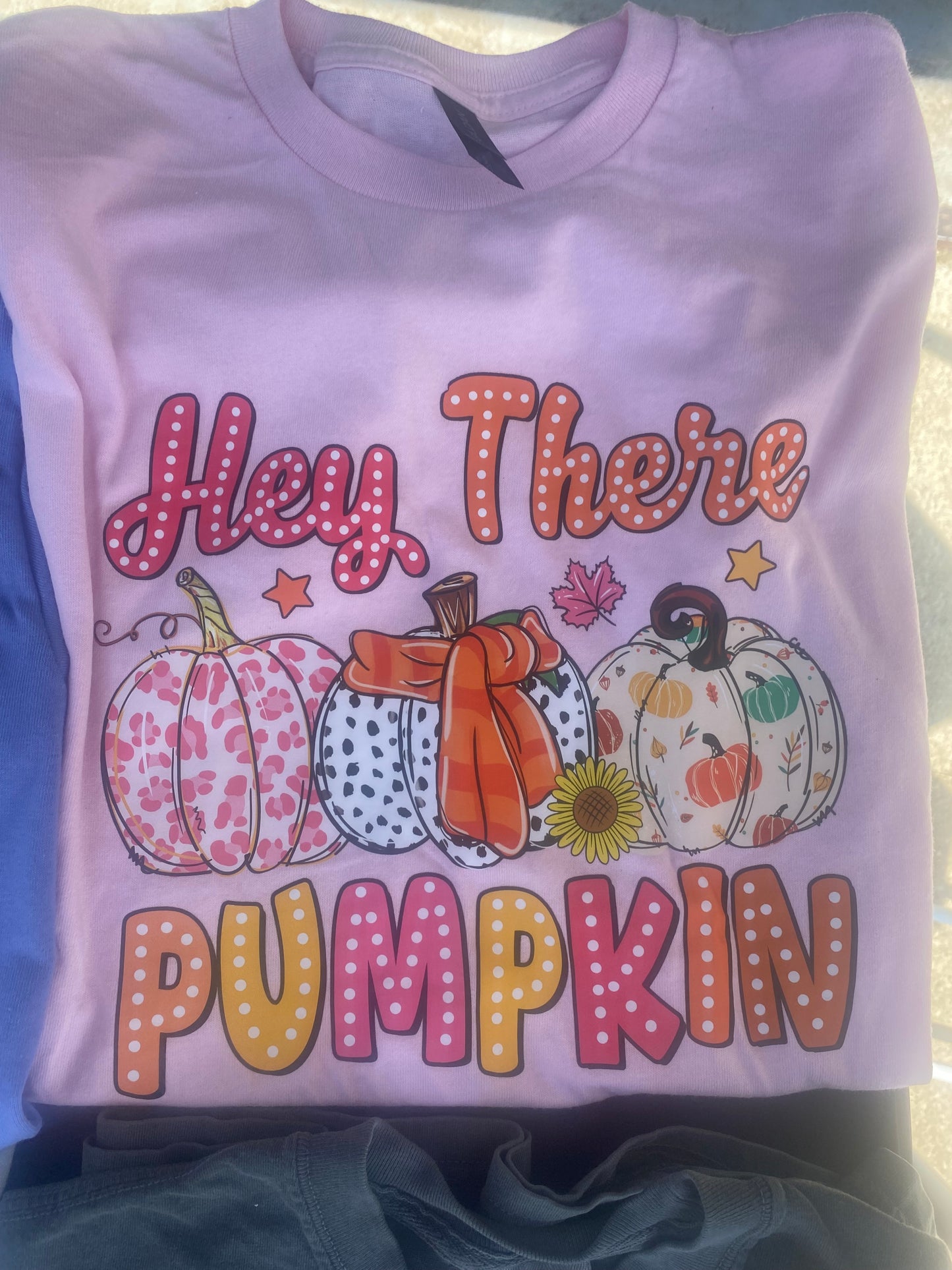 Hey There Pumpkin Tee INS