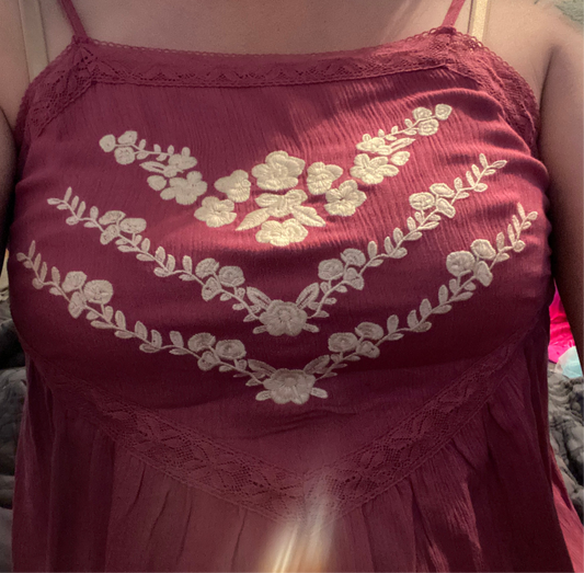Embroidered Dress INS