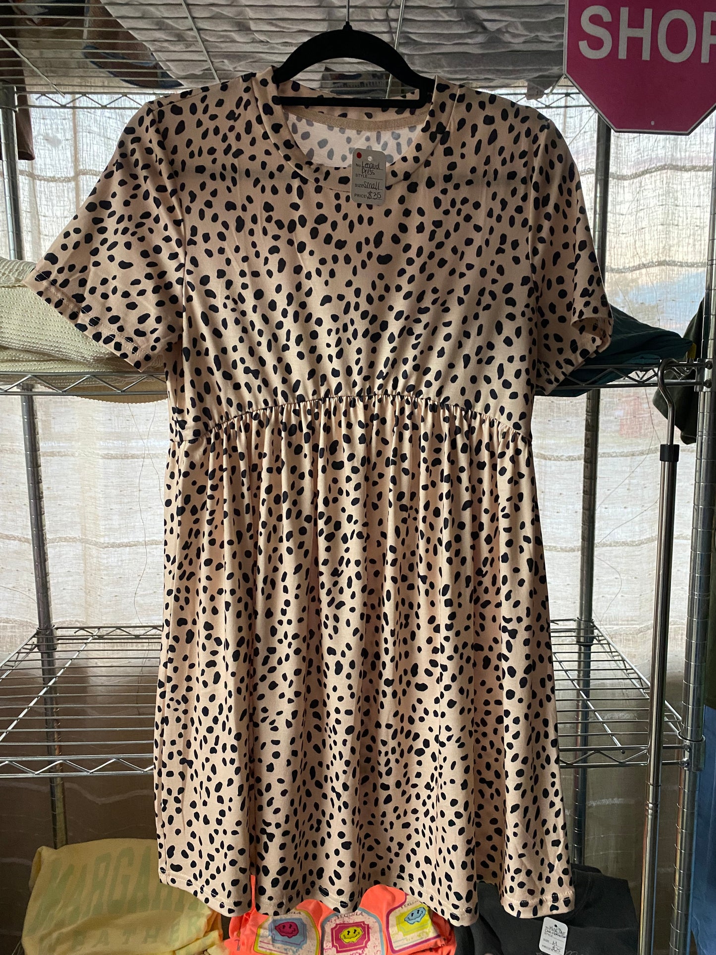 Leopard Dress INS