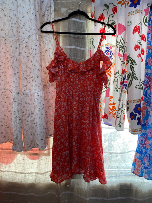 Coral Floral Dress INS